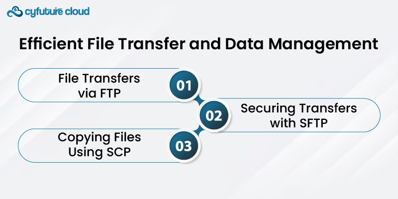 Efficient File Transfer and Data Management